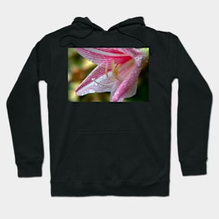 pink and white flower Hoodie